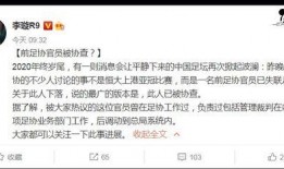 李璇爆料裁判视频大全集,裁判视频大全集深度解析