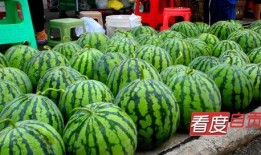 自贡网红吃瓜事件,一场网络狂欢背后的真相揭秘